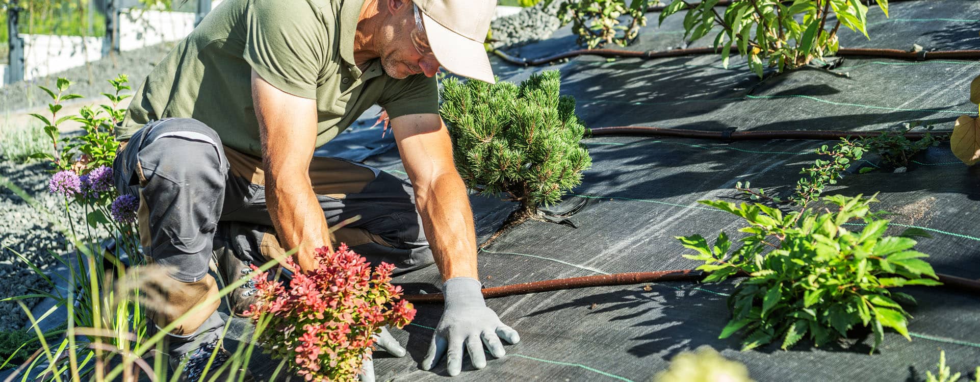 Landscaping Services